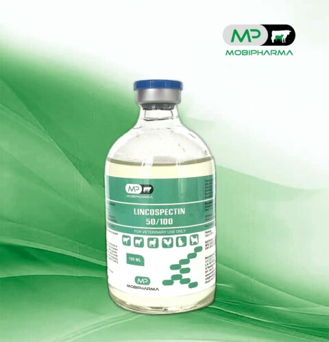 LINCOPECTIN 50-100