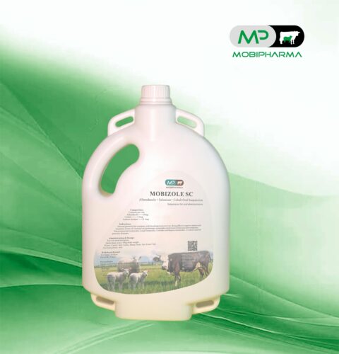 MOBIZOLE_SC_3L